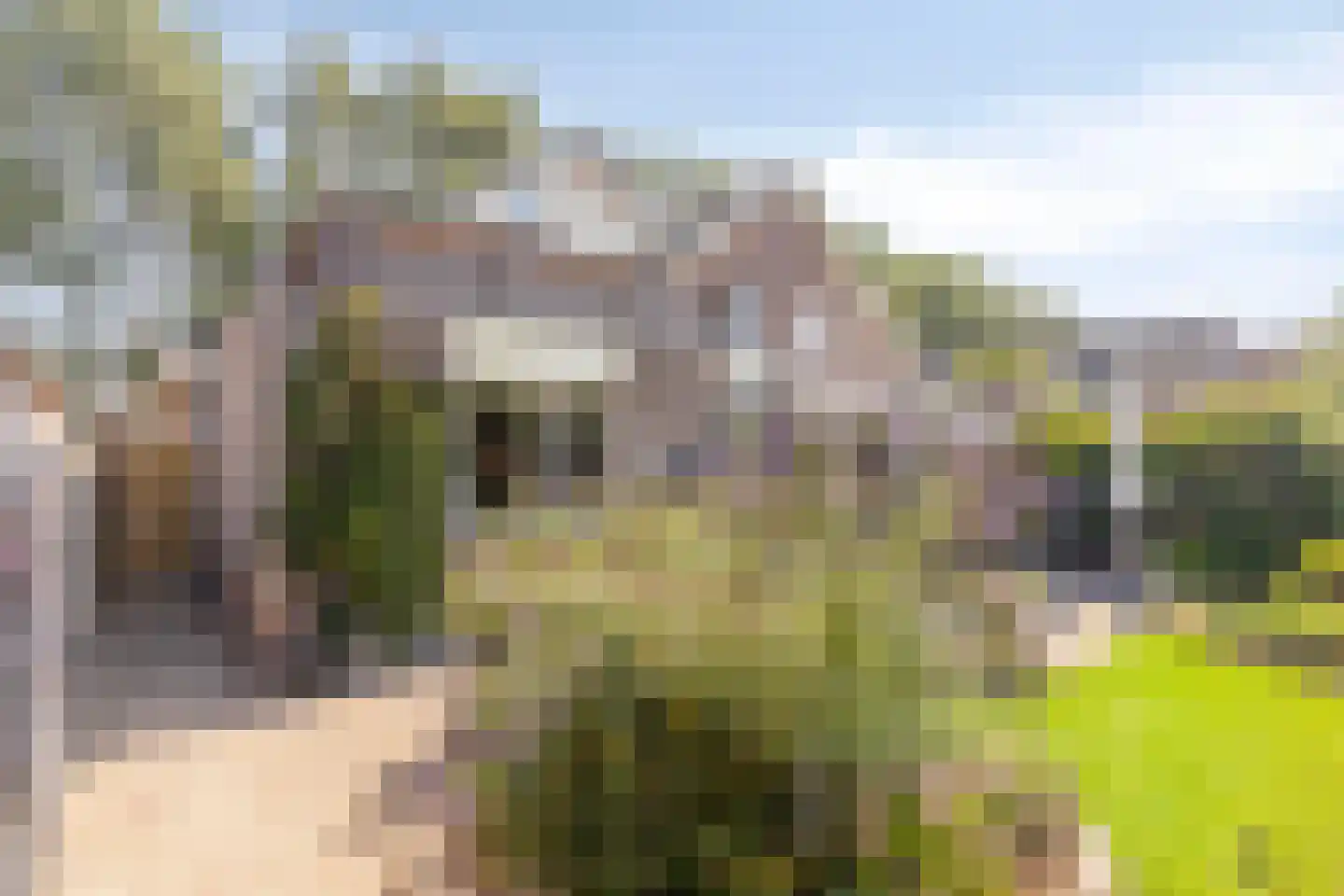 Oude Rijksweg 101 't Zand thumbnail 11