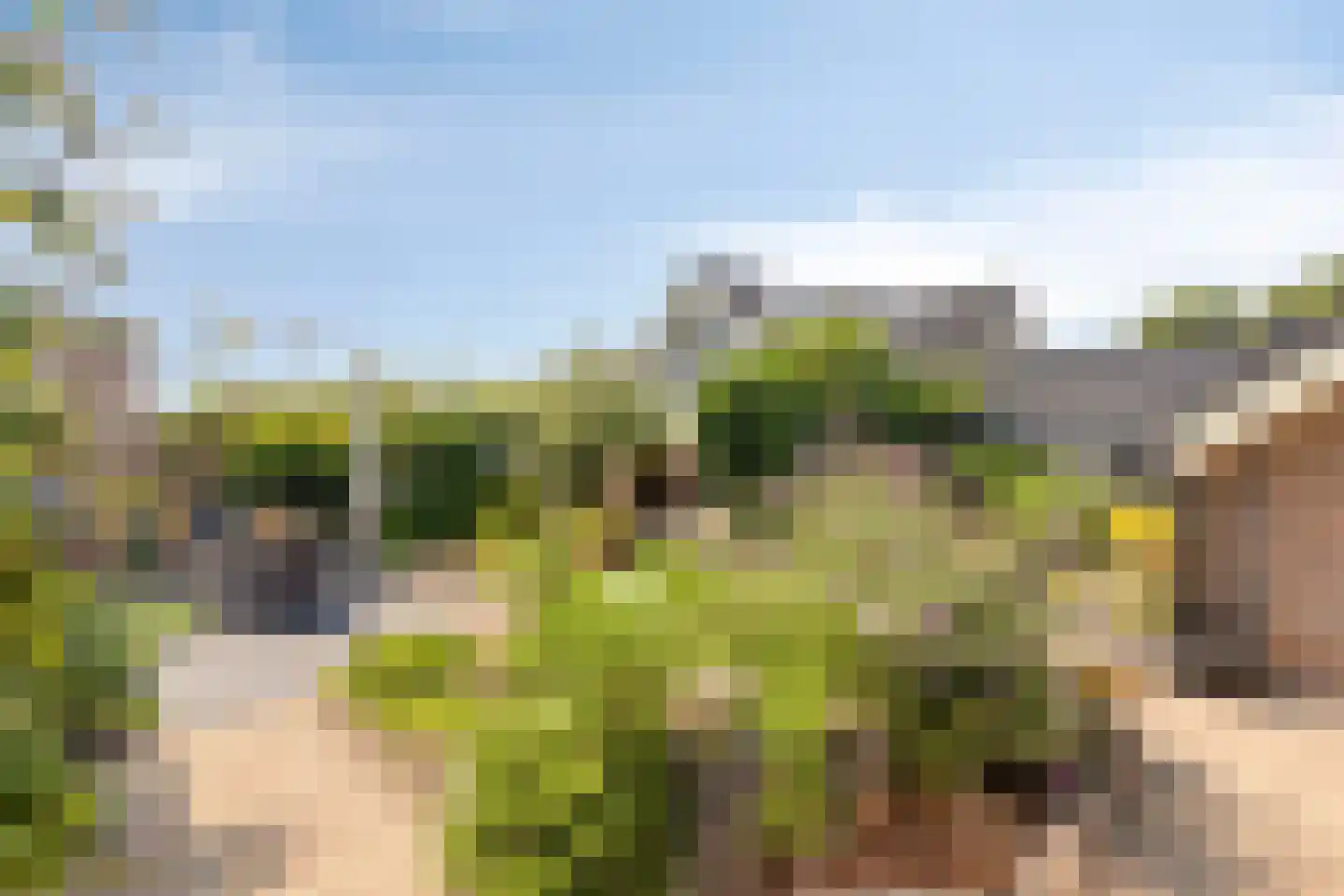 Oude Rijksweg 101 't Zand thumbnail 12