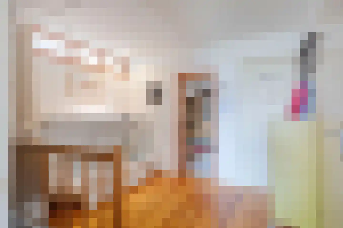 Oude Rijksweg 101 't Zand thumbnail 20