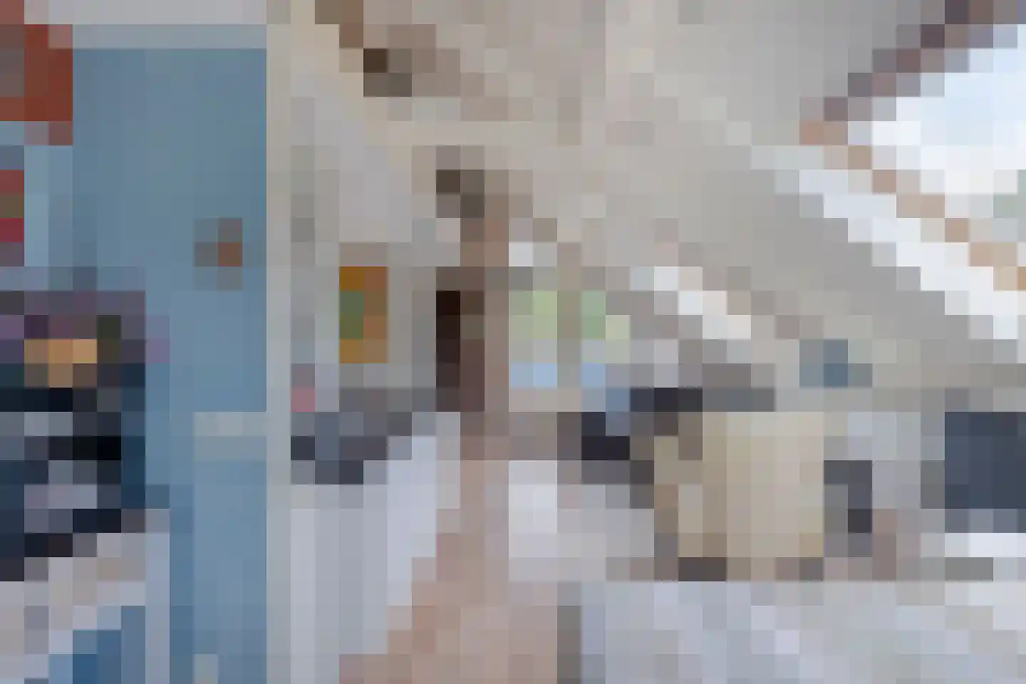 Oude Rijksweg 101 't Zand thumbnail 22