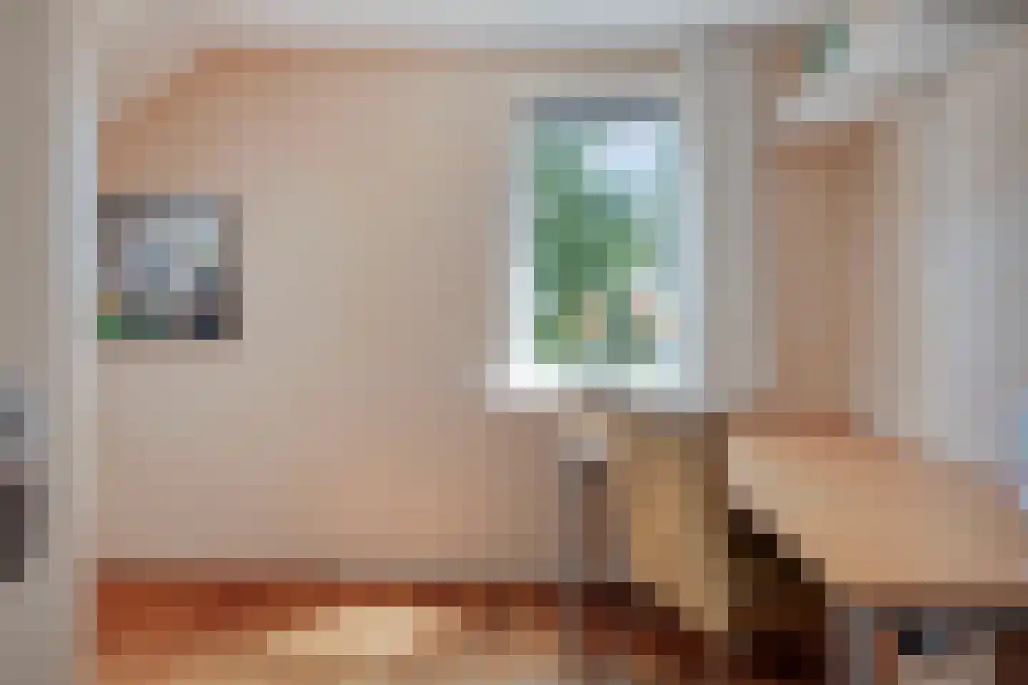 Oude Rijksweg 101 't Zand thumbnail 25