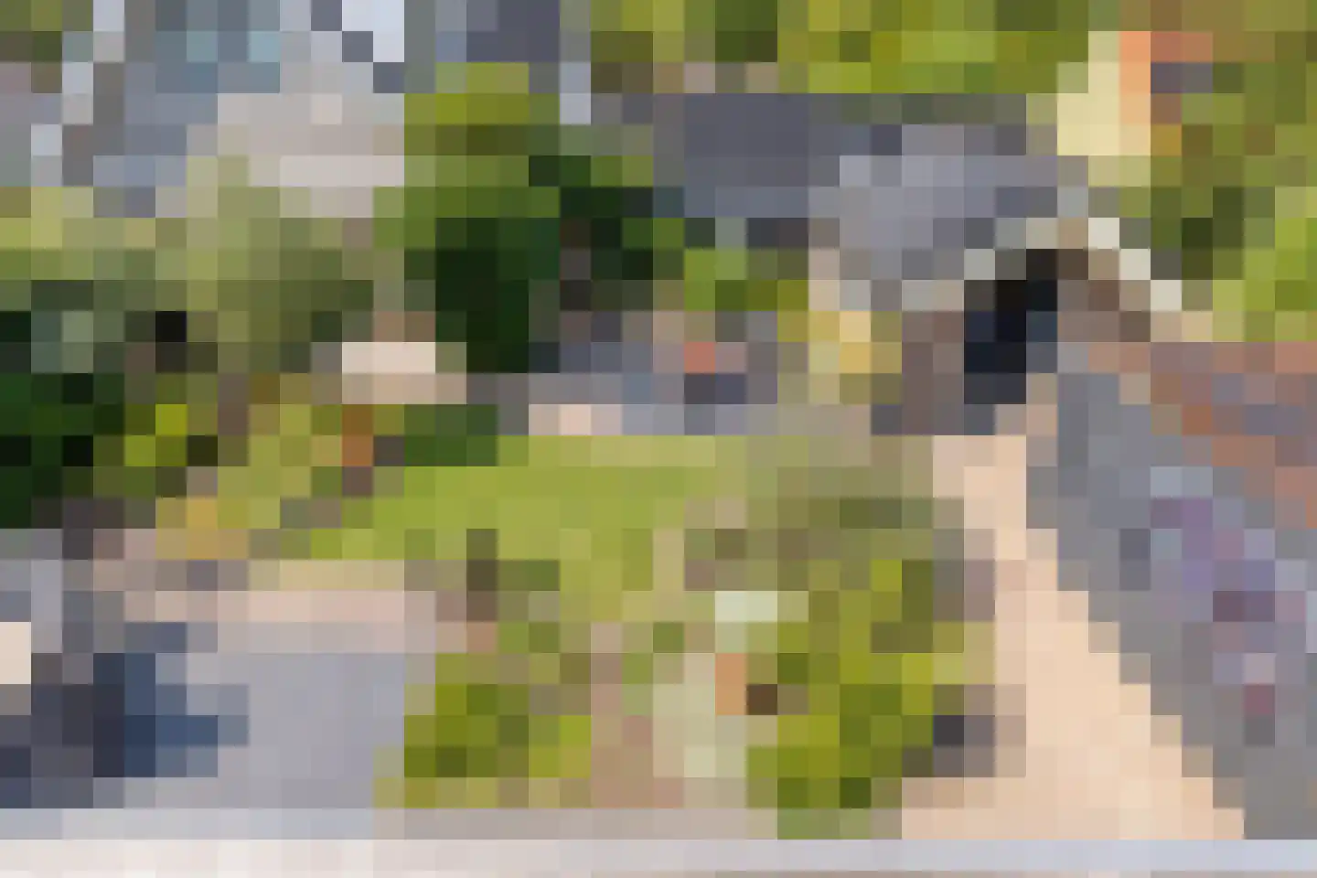 Oude Rijksweg 101 't Zand thumbnail 30