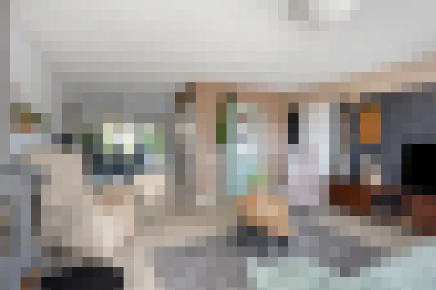 Oude Rijksweg 101 't Zand thumbnail 4