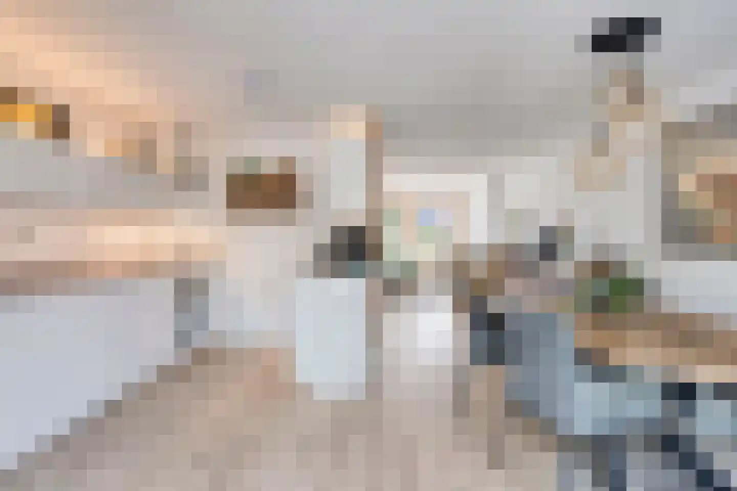 Oude Rijksweg 101 't Zand thumbnail 6
