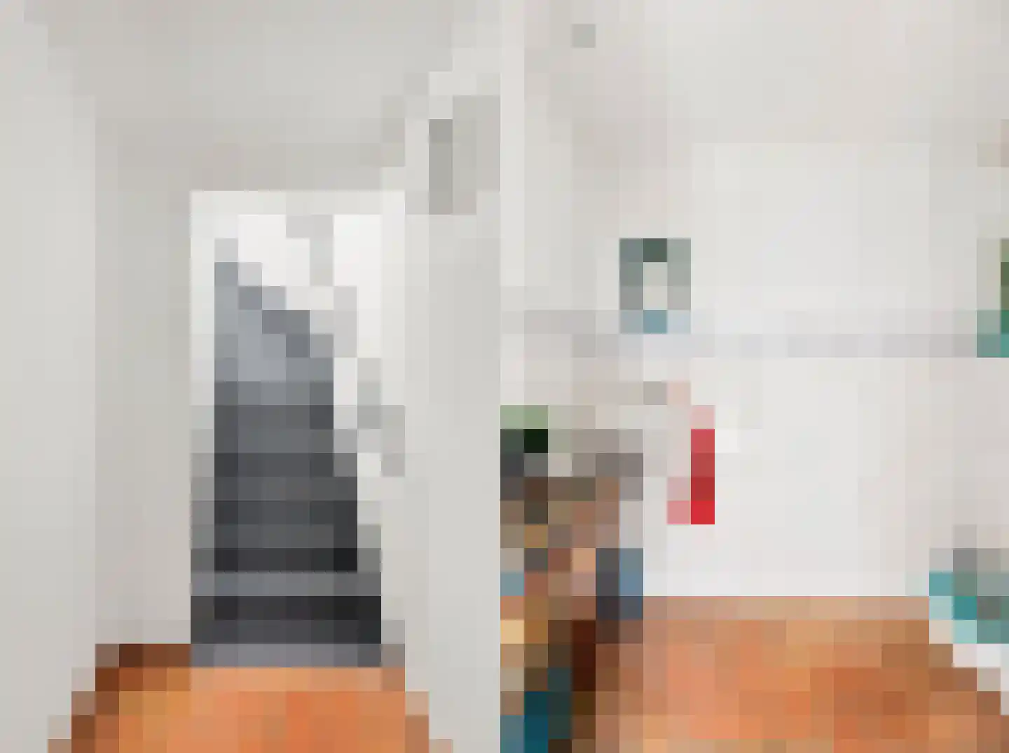 Oude Rijksweg 102 's-Heer Arendskerke thumbnail 21