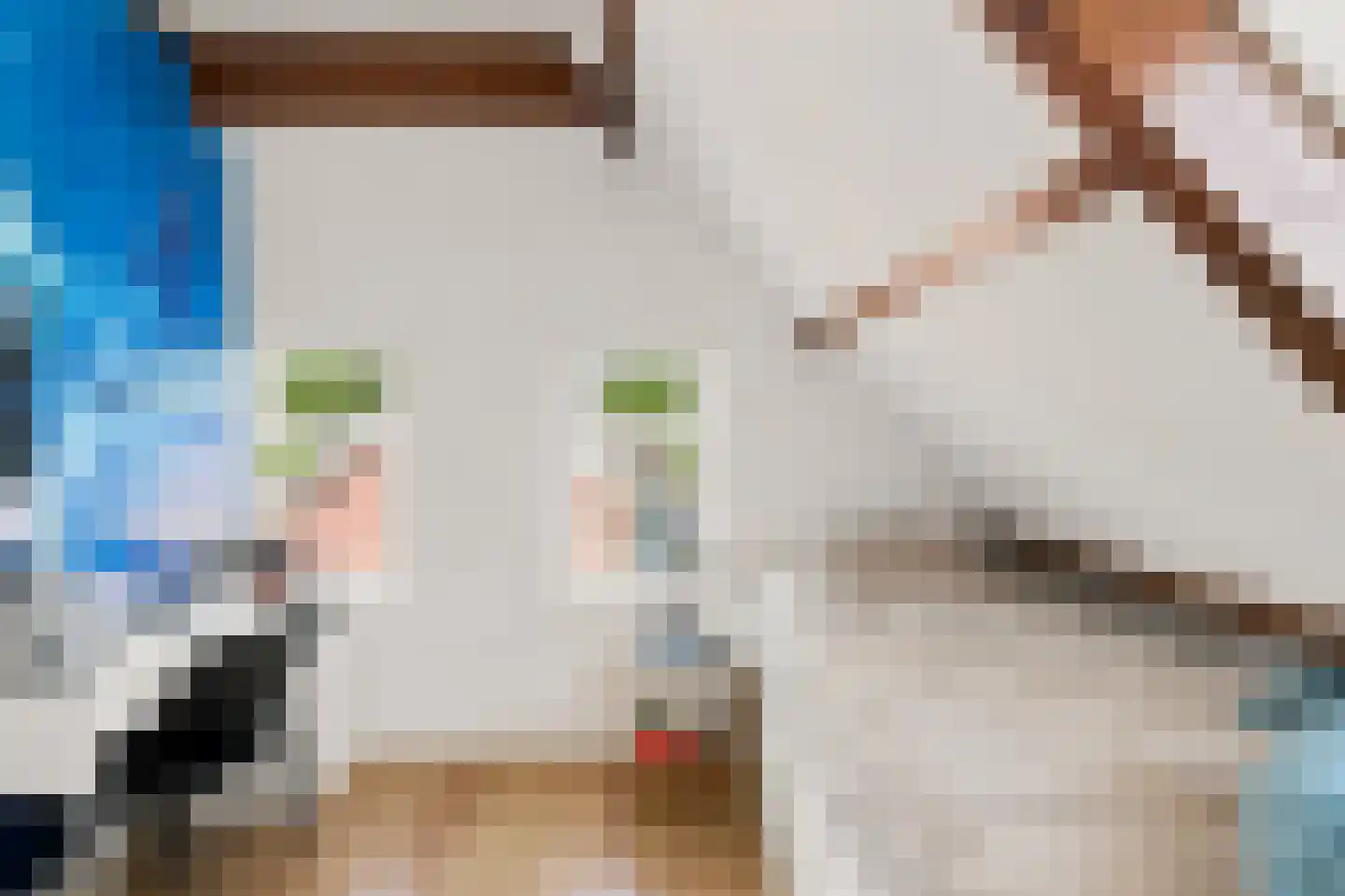 Oude Rijksweg 102 's-Heer Arendskerke thumbnail 25