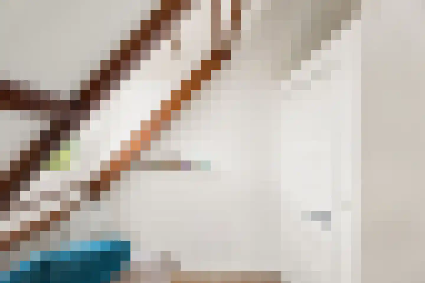 Oude Rijksweg 102 's-Heer Arendskerke thumbnail 26