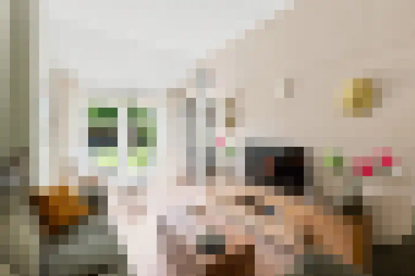 Oude Rijksweg 102 's-Heer Arendskerke thumbnail 30