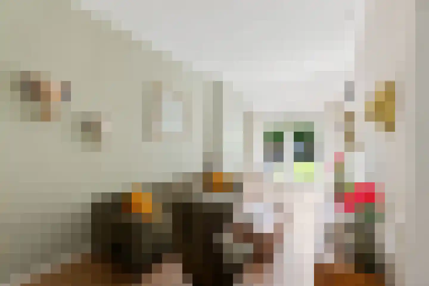 Oude Rijksweg 102 's-Heer Arendskerke thumbnail 31