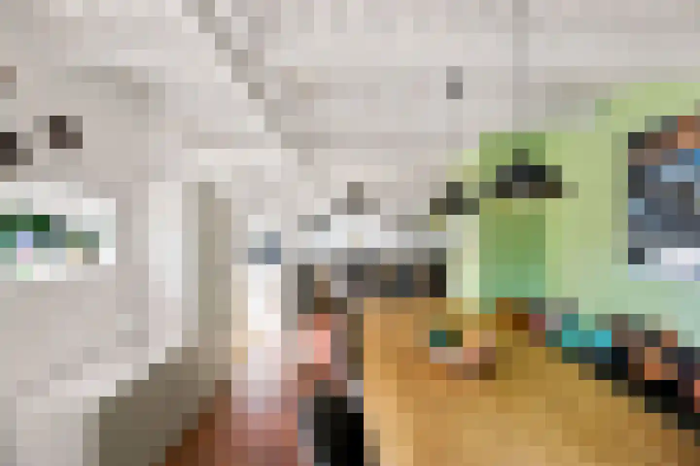 Oude Rijksweg 102 's-Heer Arendskerke thumbnail 33