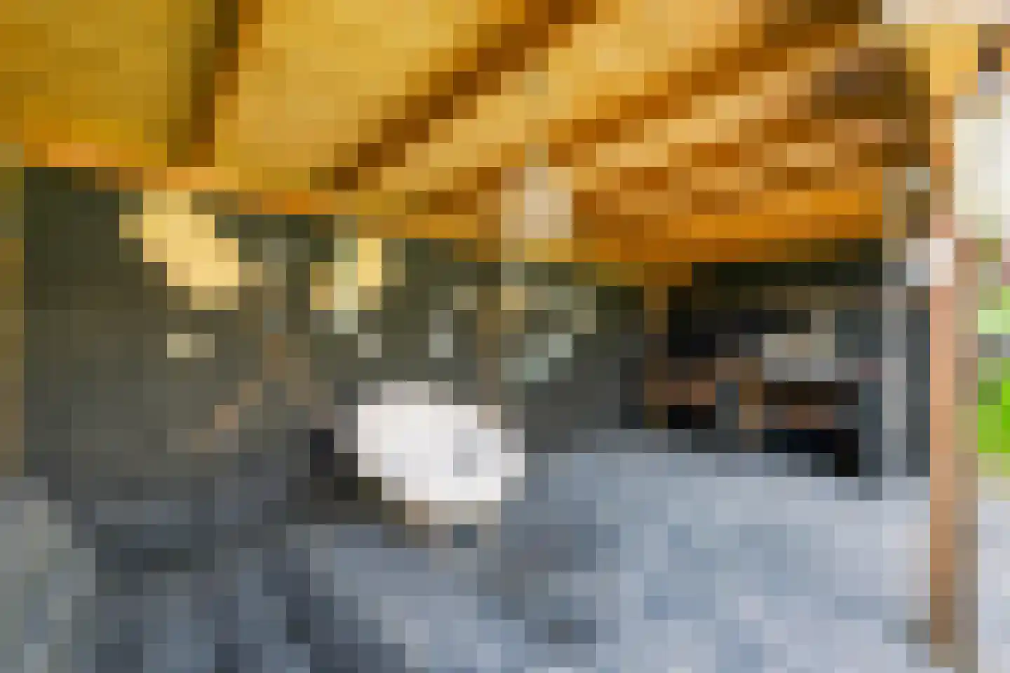 Oude Rijksweg 102 's-Heer Arendskerke thumbnail 39