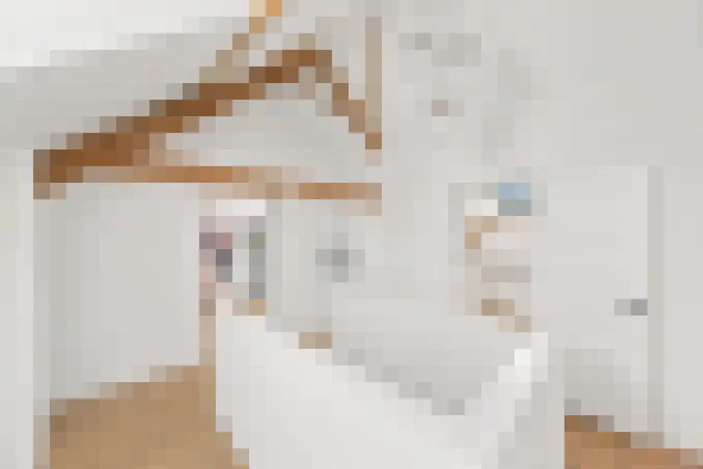 Oude Rijksweg 102 's-Heer Arendskerke thumbnail 41