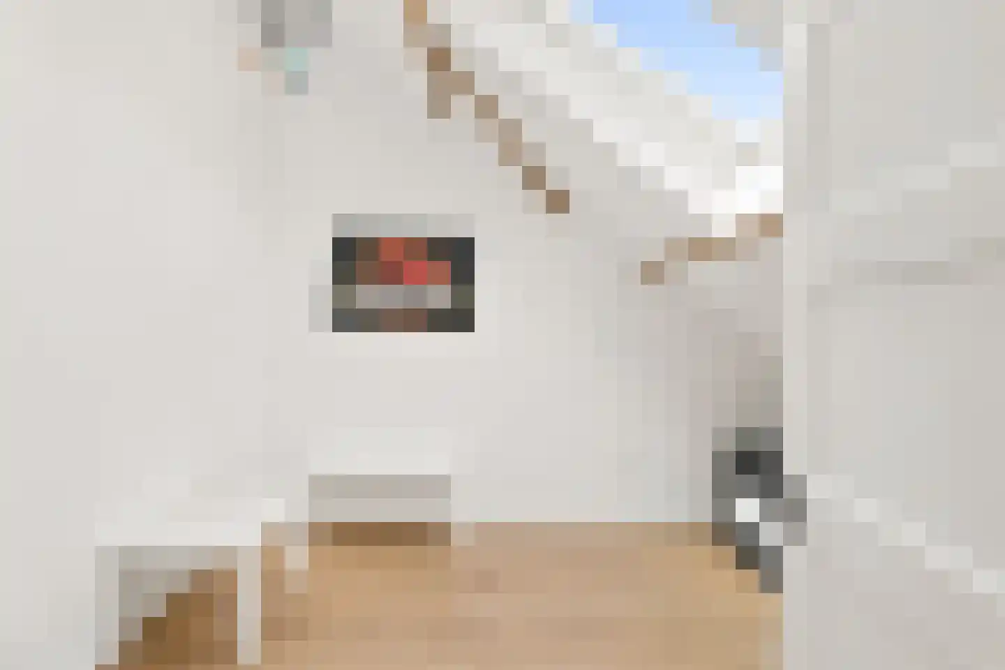 Oude Rijksweg 102 's-Heer Arendskerke thumbnail 45