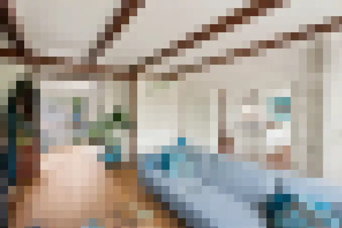 Oude Rijksweg 102 's-Heer Arendskerke thumbnail 8