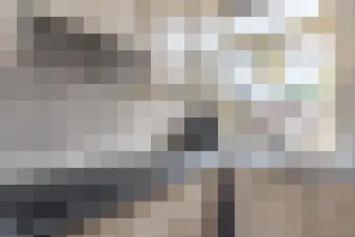 Oude Rijksweg 102 't Zand thumbnail 14