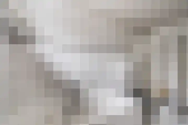 Oude Rijksweg 102 't Zand thumbnail 18