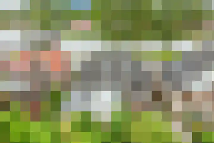 Oude Rijksweg 102 't Zand foto 2