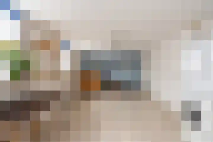 Oude Rijksweg 102 't Zand thumbnail 21