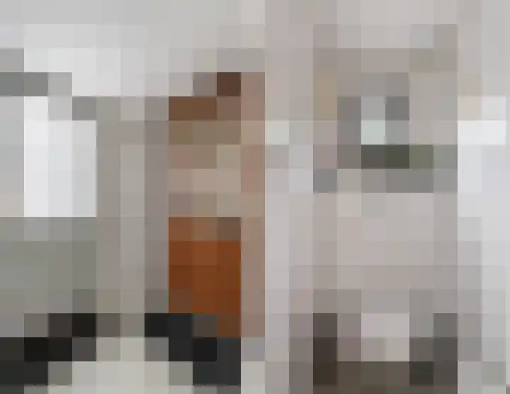 Oude Rijksweg 102 't Zand thumbnail 26