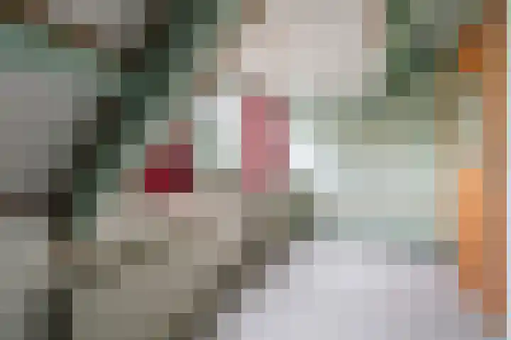 Oude Rijksweg 102 't Zand thumbnail 27
