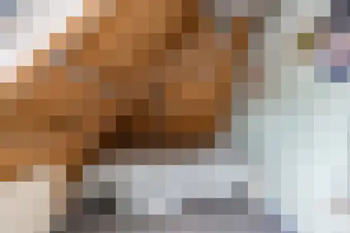 Oude Rijksweg 102 't Zand thumbnail 31