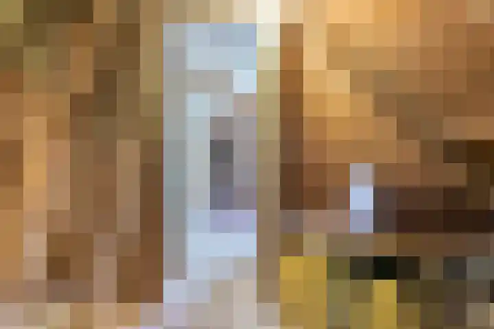 Oude Rijksweg 102 't Zand thumbnail 35