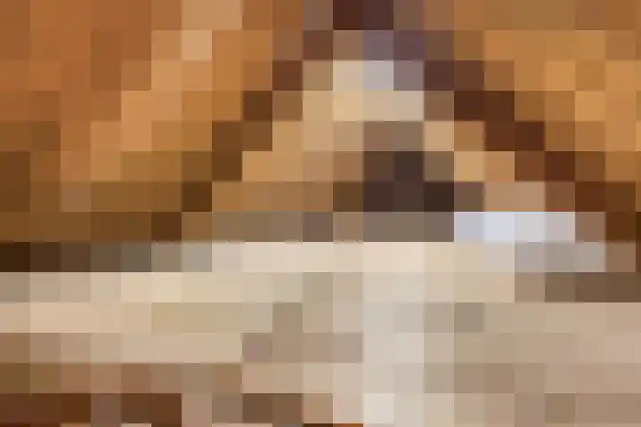Oude Rijksweg 102 't Zand thumbnail 36