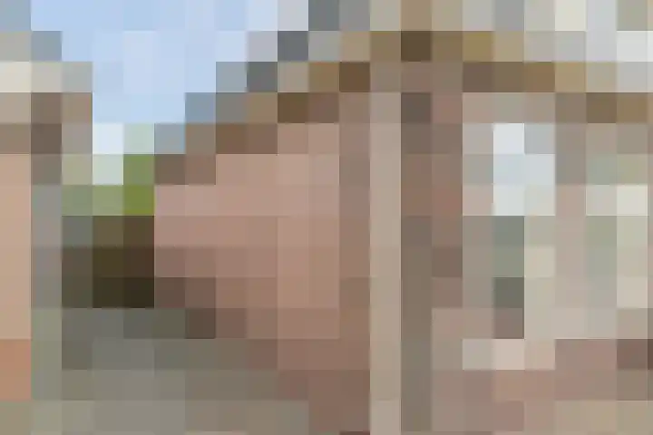 Oude Rijksweg 102 't Zand thumbnail 39
