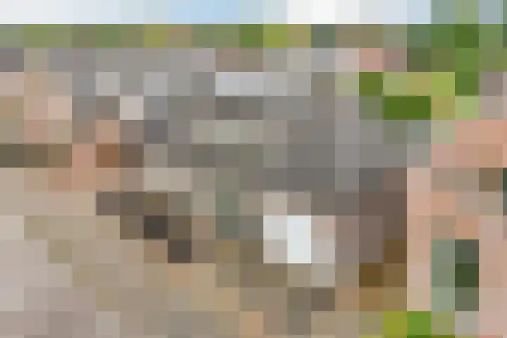 Oude Rijksweg 102 't Zand thumbnail 4