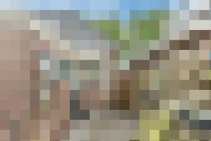 Oude Rijksweg 102 't Zand thumbnail 40