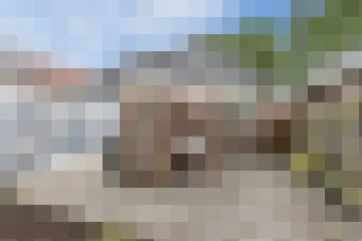Oude Rijksweg 102 't Zand thumbnail 41