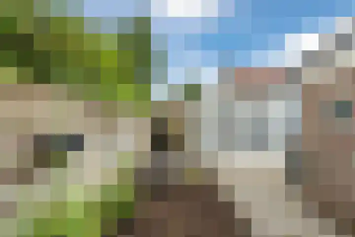 Oude Rijksweg 102 't Zand thumbnail 43