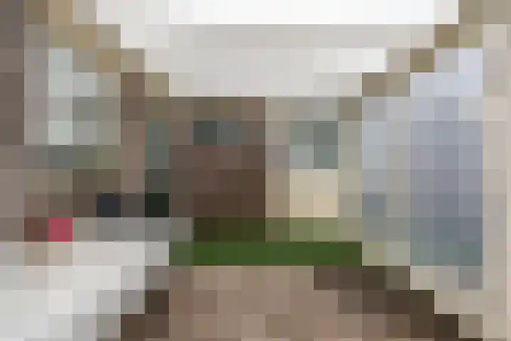 Oude Rijksweg 102 't Zand thumbnail 45