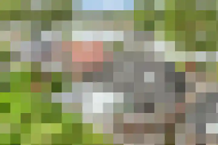 Oude Rijksweg 102 't Zand thumbnail 46