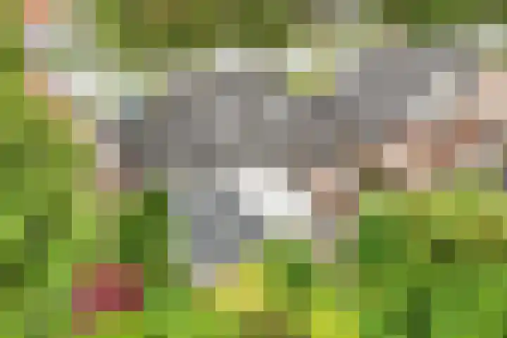 Oude Rijksweg 102 't Zand thumbnail 47