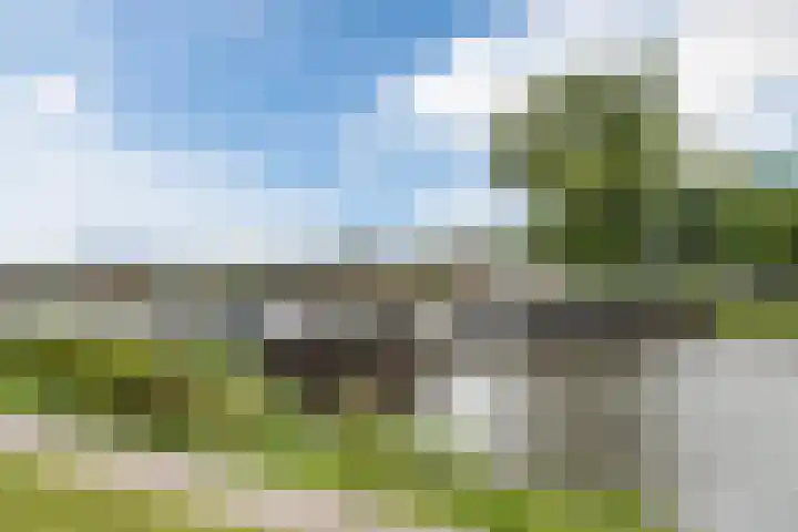 Oude Rijksweg 102 't Zand thumbnail 49