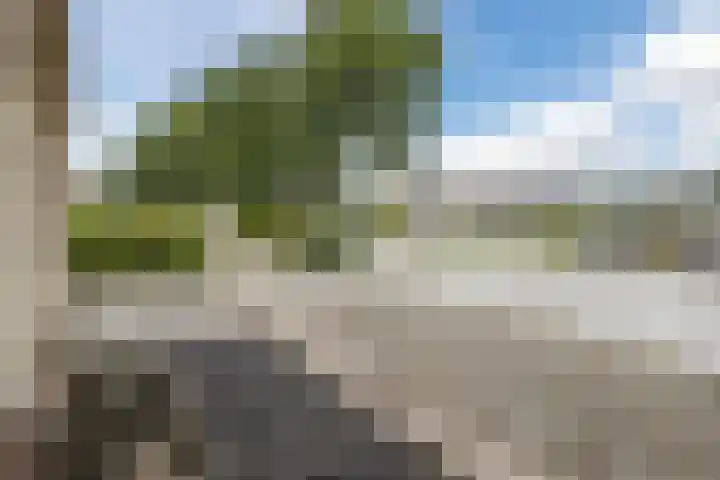 Oude Rijksweg 102 't Zand thumbnail 6