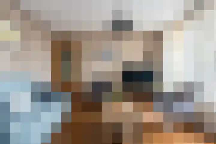 Oude Rijksweg 102 't Zand thumbnail 9