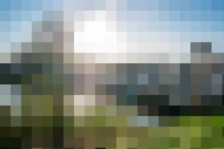 Oude Rijksweg 105 A 't Zand thumbnail 34