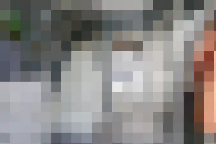 Oude Rijksweg 105 A 't Zand thumbnail 4