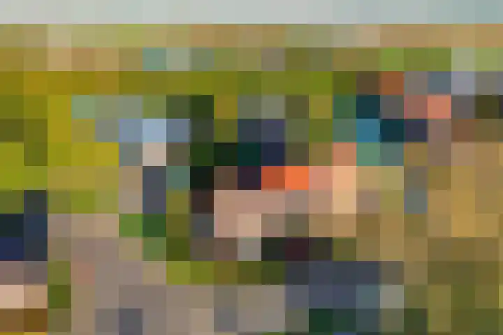 Oude Rijksweg 105 A 't Zand thumbnail 42