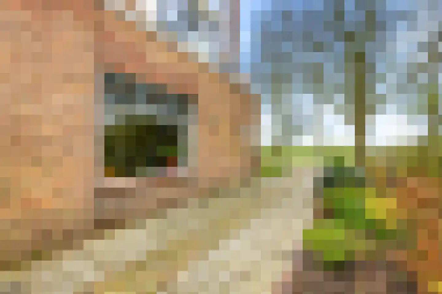 Oude Rijksweg 110 Nieuw- en Sint Joosland thumbnail 37