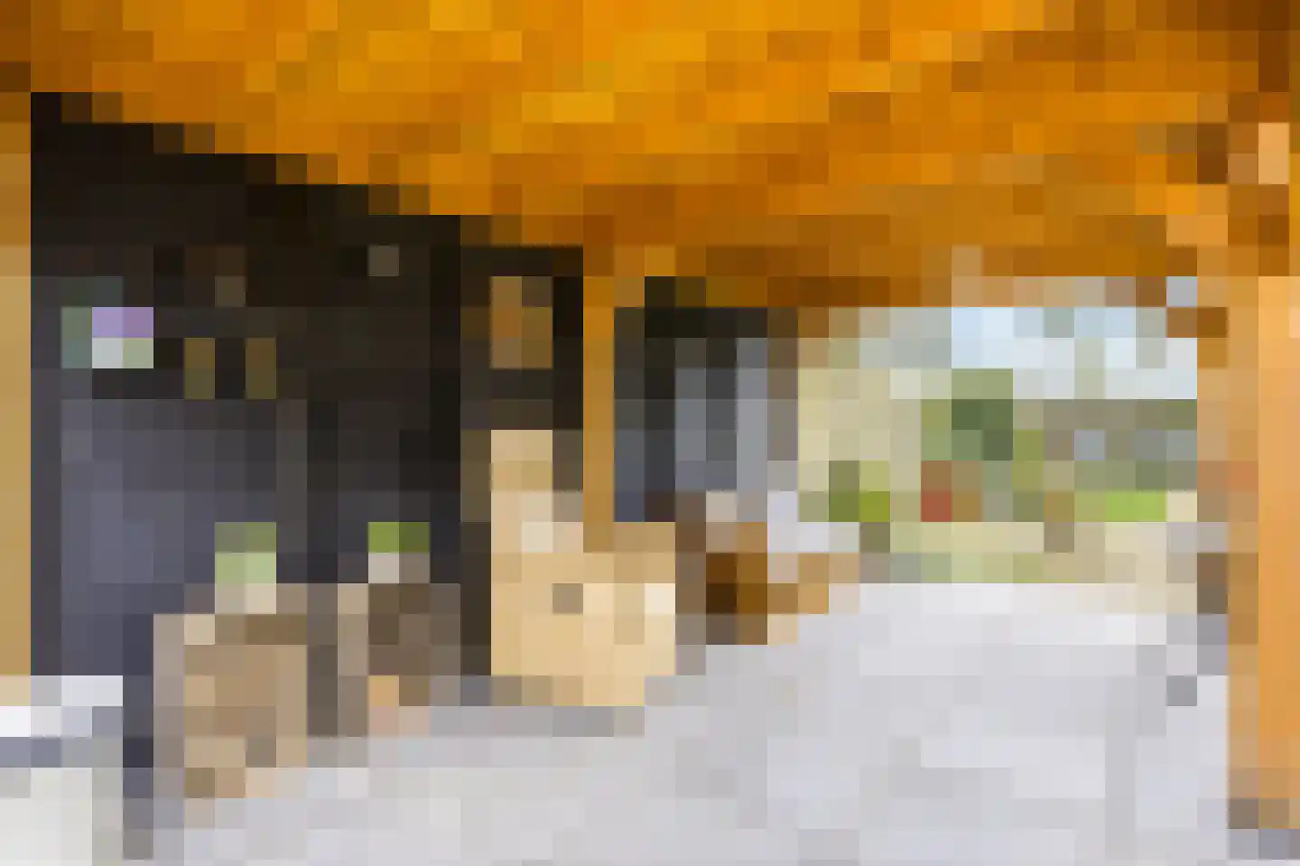 Oude Rijksweg 110 Nieuw- en Sint Joosland thumbnail 40