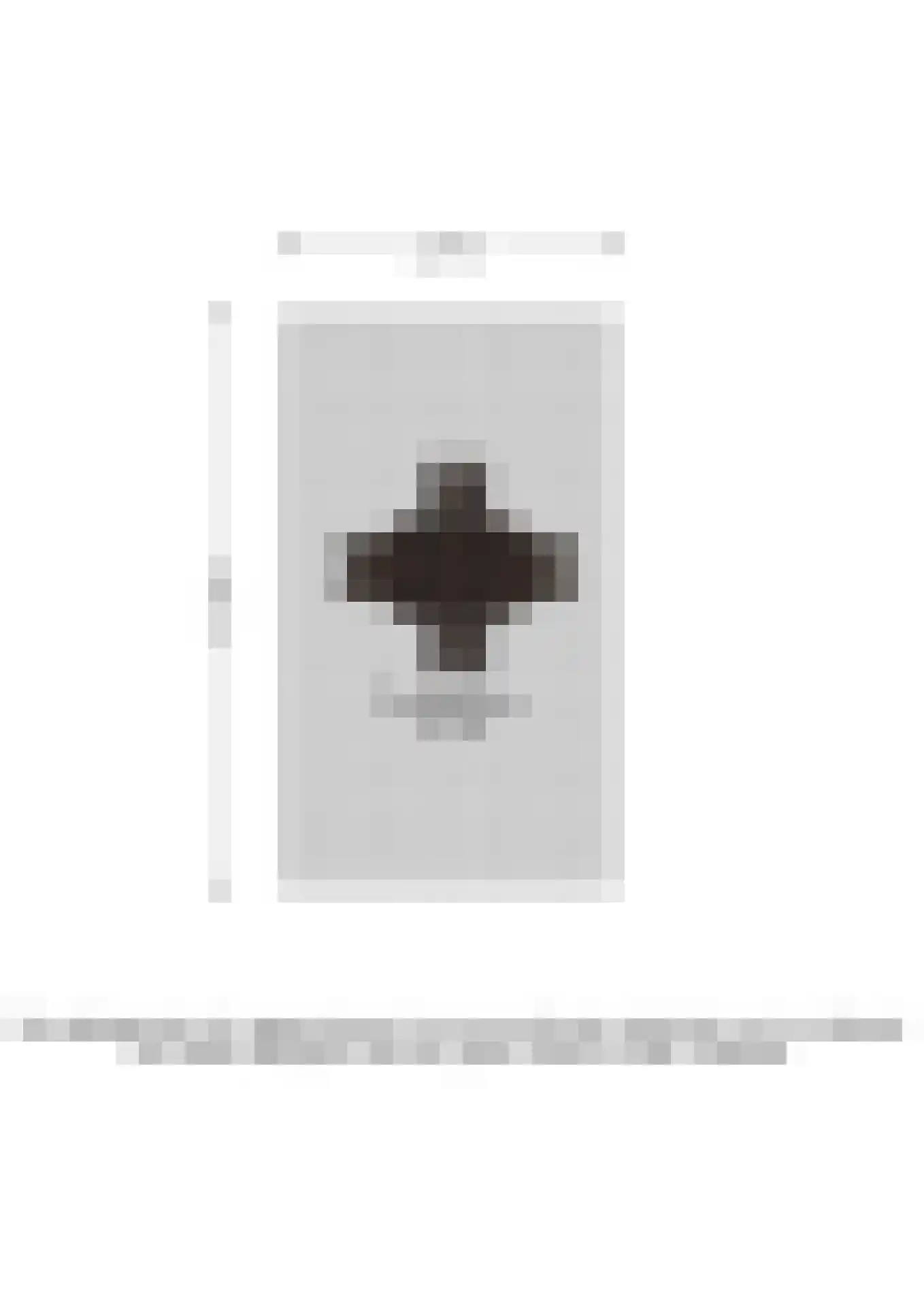 Oude Rijksweg 110 Nieuw- en Sint Joosland thumbnail 50