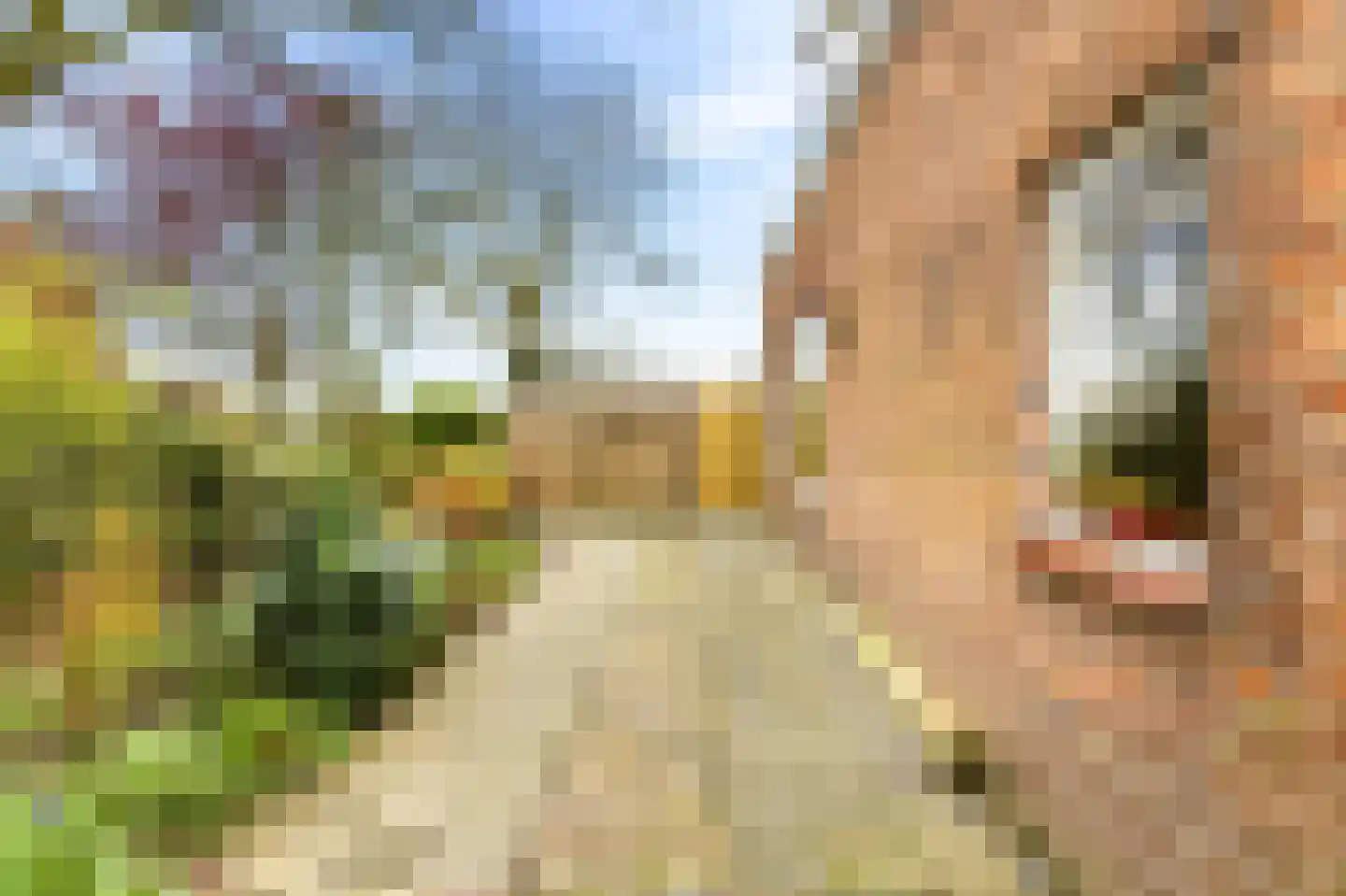 Oude Rijksweg 110 Nieuw- en Sint Joosland thumbnail 6