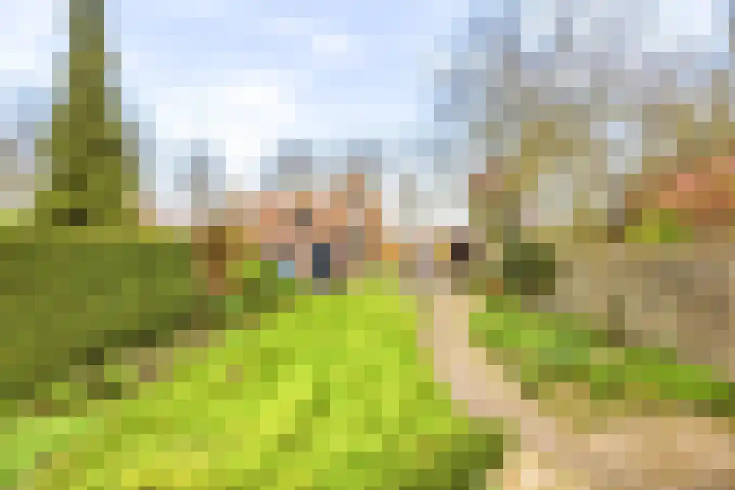 Oude Rijksweg 110 Nieuw- en Sint Joosland thumbnail 8