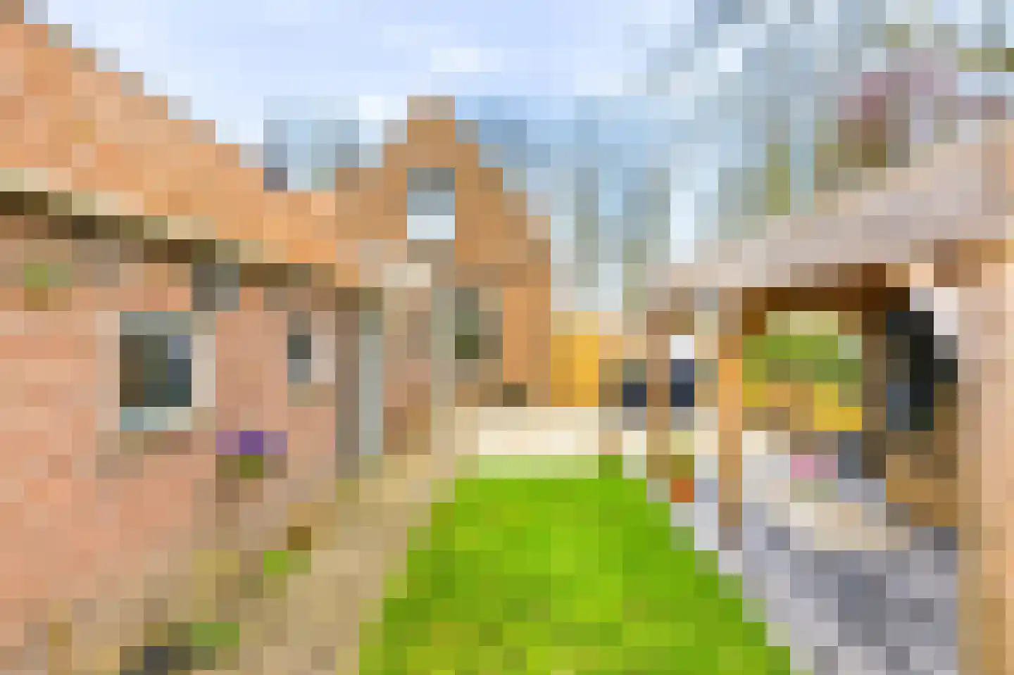 Oude Rijksweg 110 Nieuw- en Sint Joosland thumbnail 9