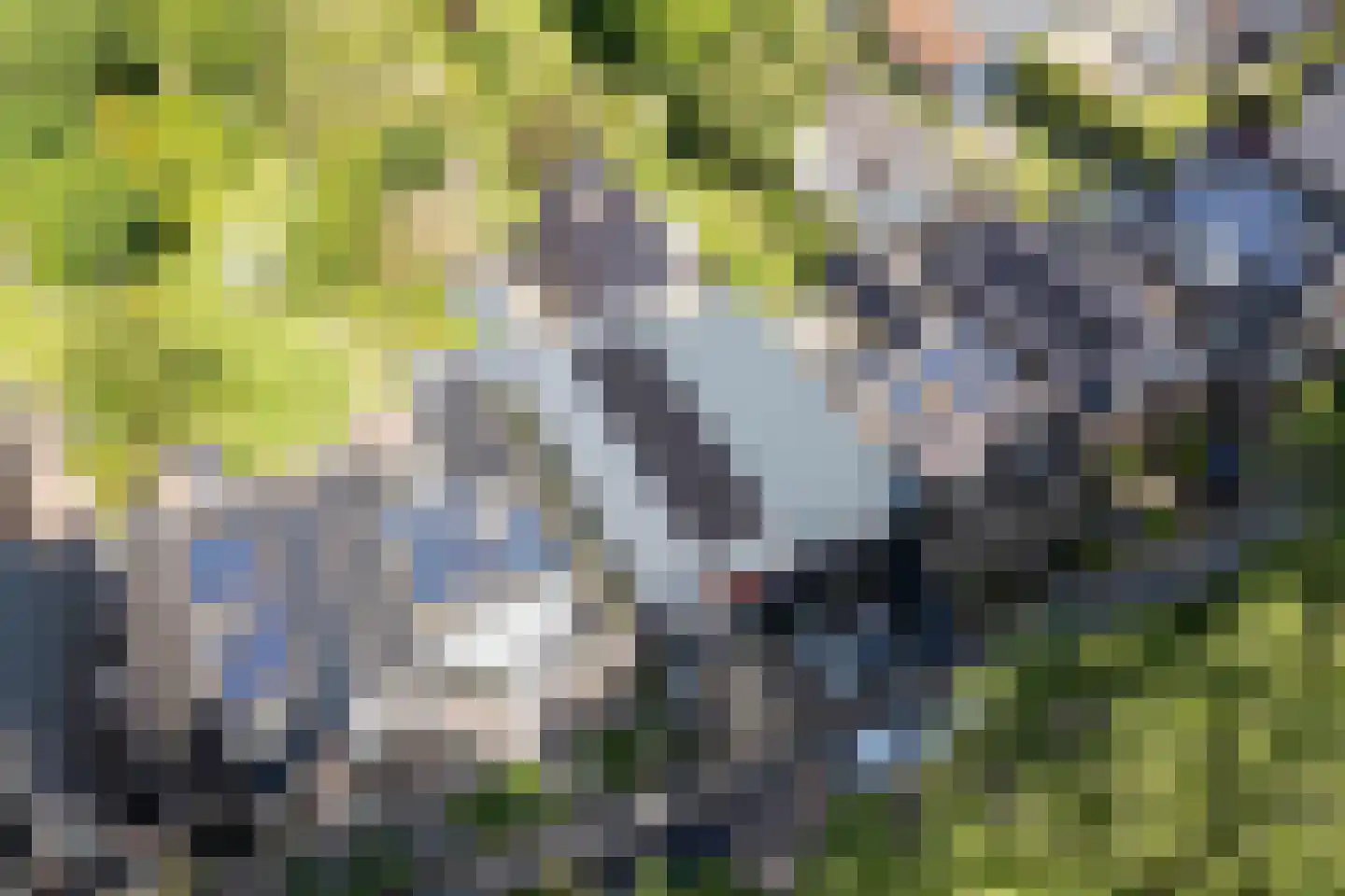 Oude Rijksweg 114 't Zand foto 2