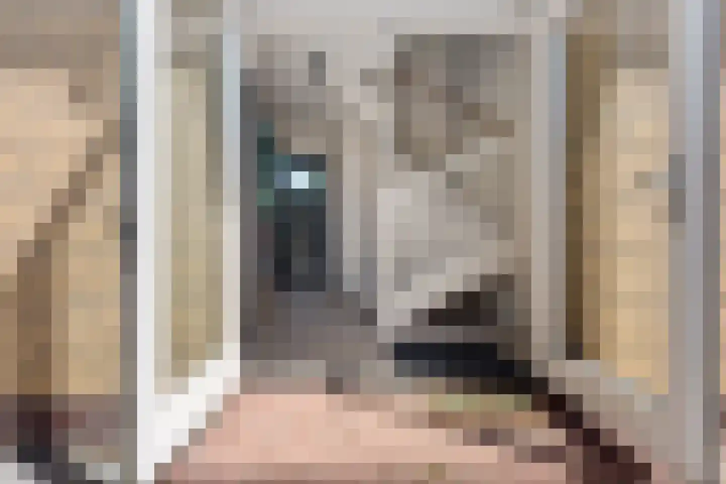 Oude Rijksweg 114 't Zand thumbnail 21
