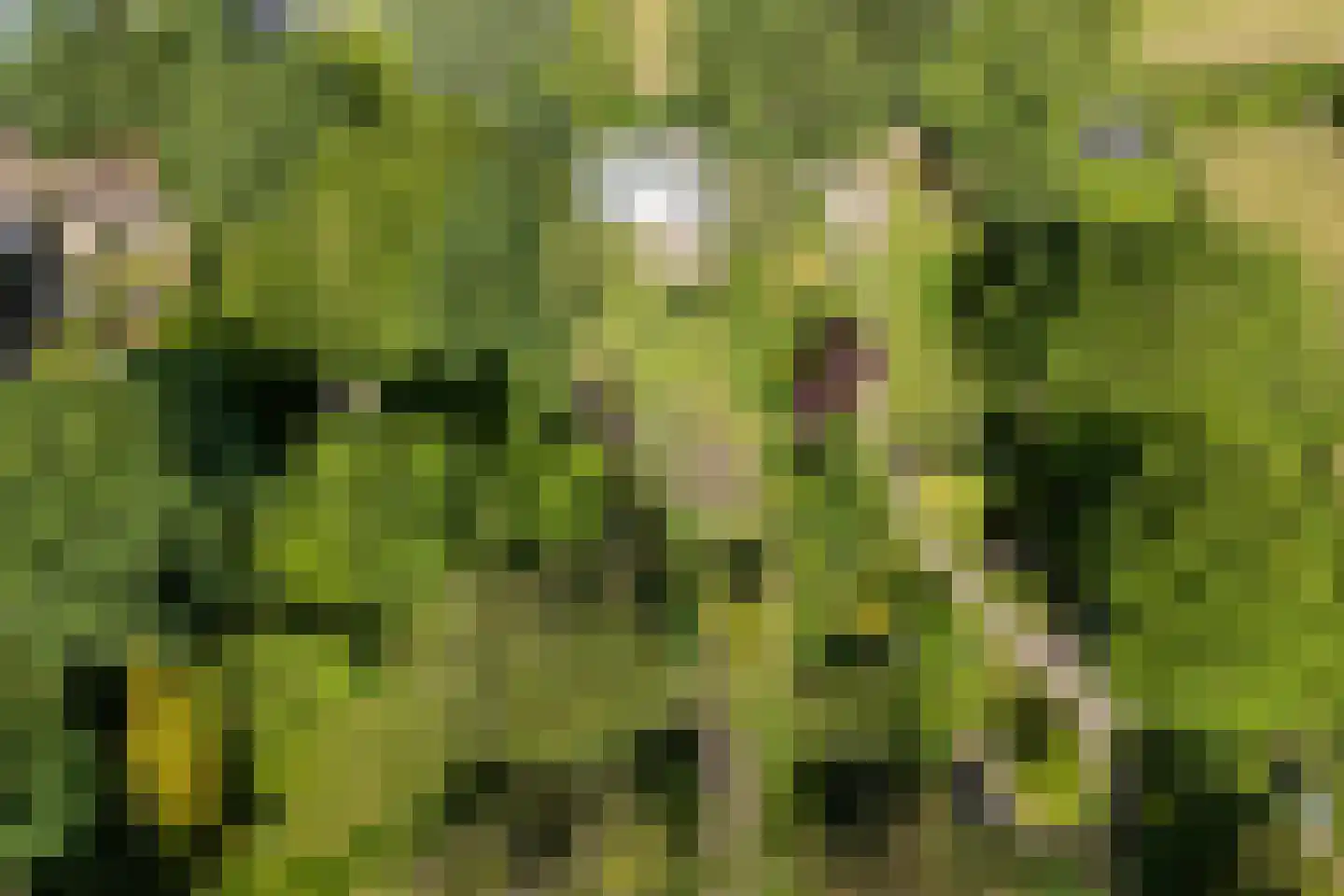 Oude Rijksweg 114 't Zand thumbnail 40